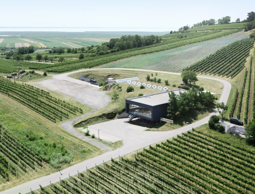 Luftaufnahme vom Weingut Hillinger. Zu sehen ist das Hauptgebäude und grüne Weingärten.